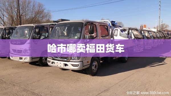哈市哪卖福田货车 哈市哪卖福田货车