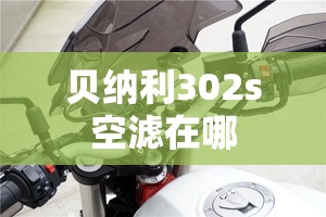 中信国安集团重整最新消息/中信国安集团百科