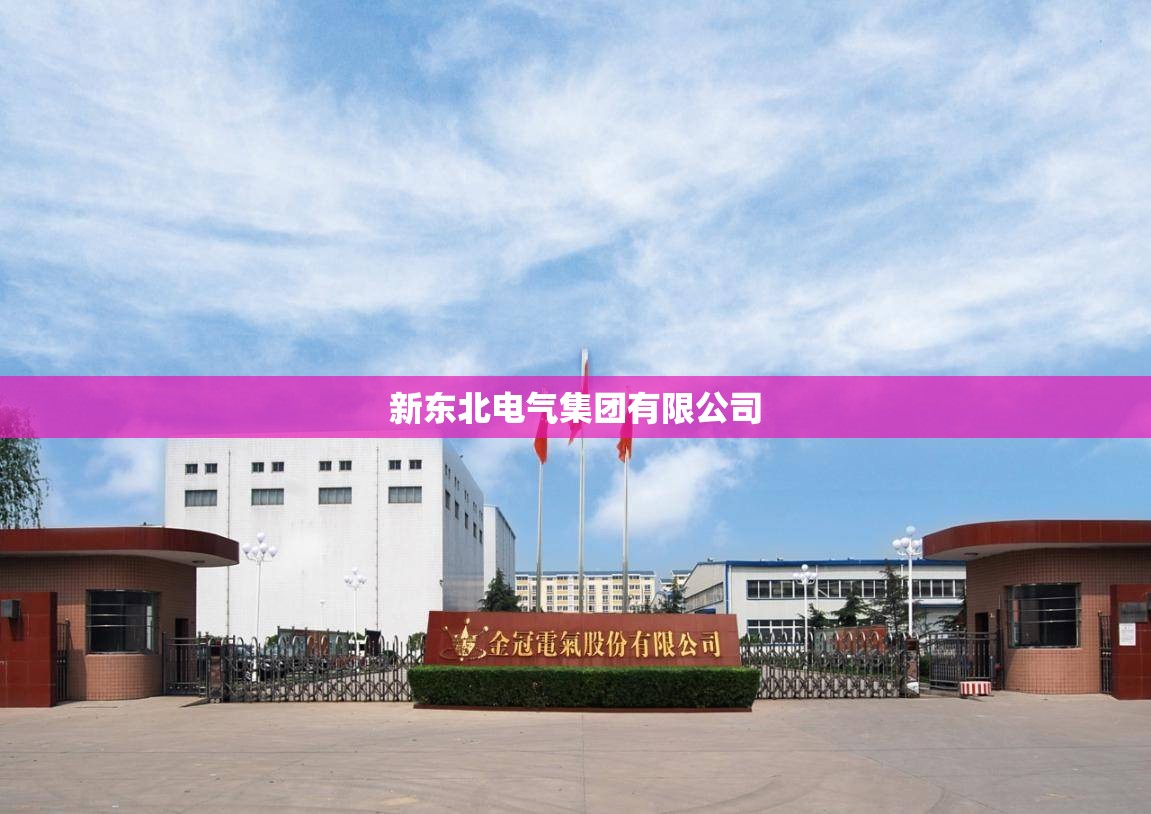 新东北电气集团有限公司/新东北电气集团有限公司电话 新东北电气集团有限公司/新东北电气集团有限公司电话