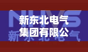 新东北电气集团有限公司/新东北电气集团有限公司电话 新东北电气集团有限公司/新东北电气集团有限公司电话