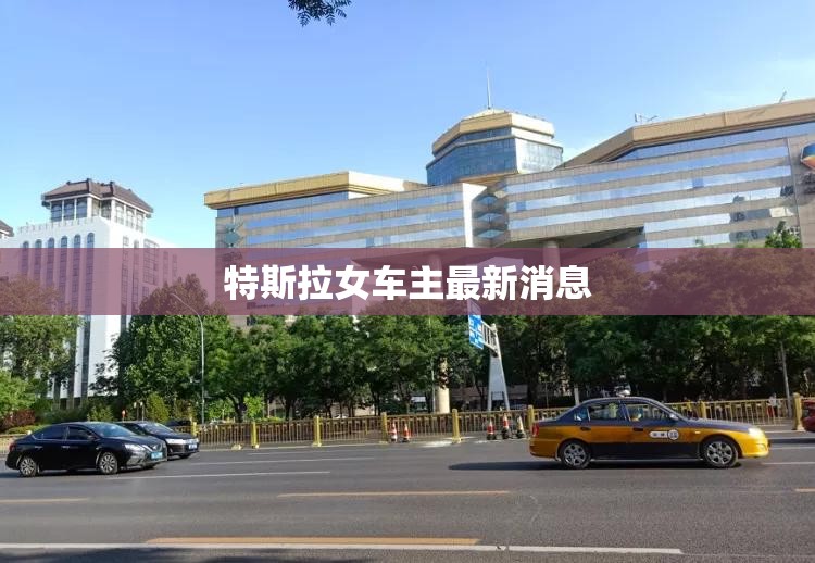 特斯拉女车主最新消息(特斯拉女车主最新进展) 特斯拉女车主最新消息(特斯拉女车主最新进展)