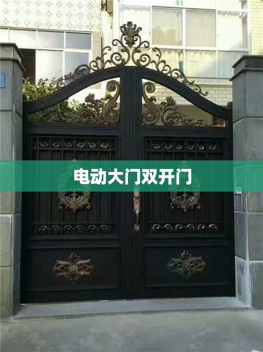 【电动大门双开门,电动大门双开门多少钱】