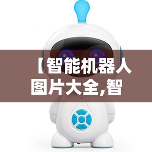 贵州省六盘水市盘州市人口有多少