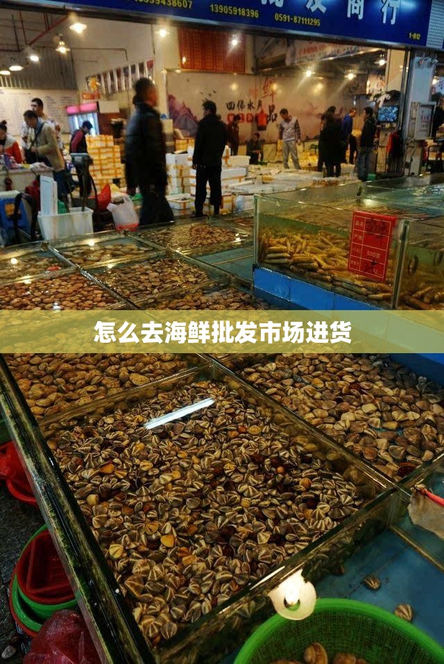 【智能机器人图片大全,智能机器人图片 儿童】