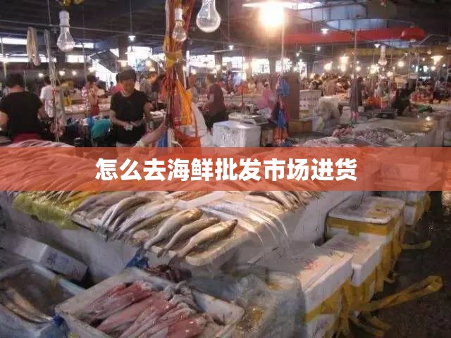 怎么去海鲜批发市场进货