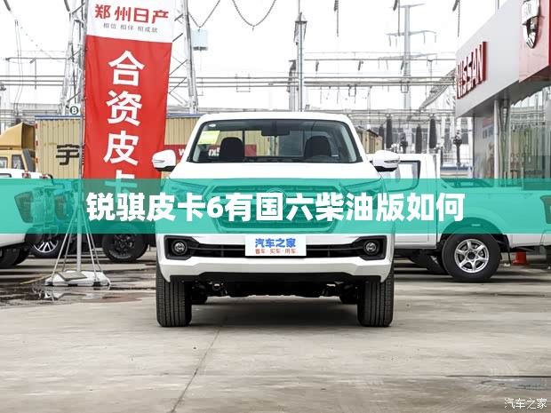 锐骐皮卡6有国六柴油版如何