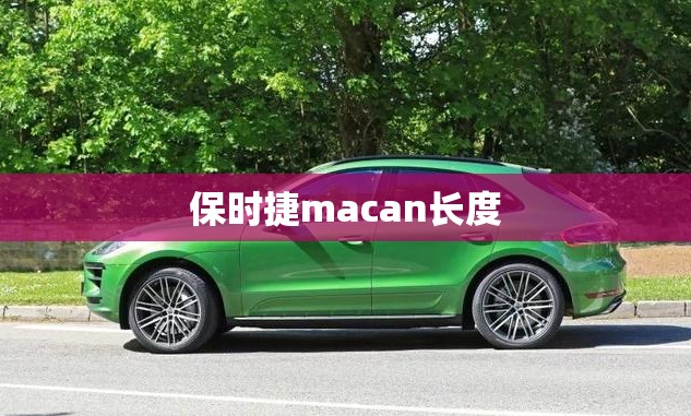 雪铁龙世嘉1.6实际油耗