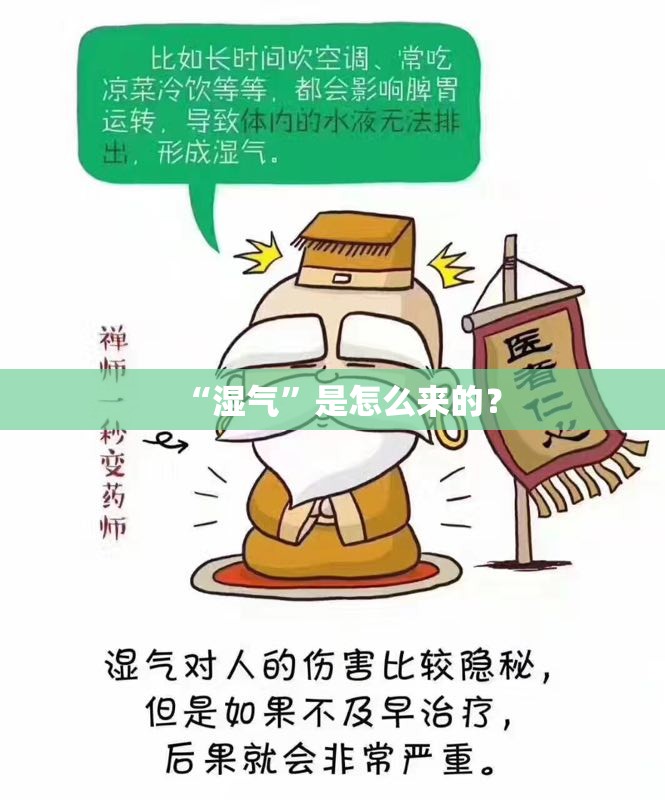“湿气”是怎么来的？