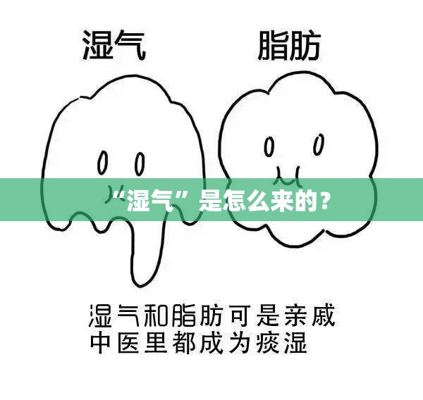 丰田荣放和威兰达的区别/荣放和威兰达谁档次高