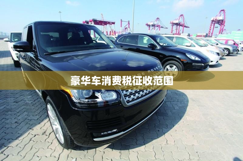 三点水边一个维是什么字？