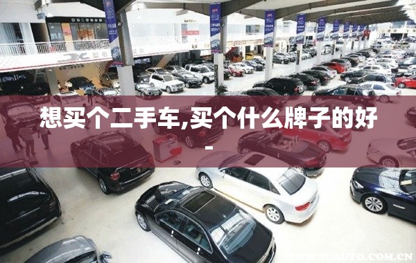 想买个二手车,买个什么牌子的好-