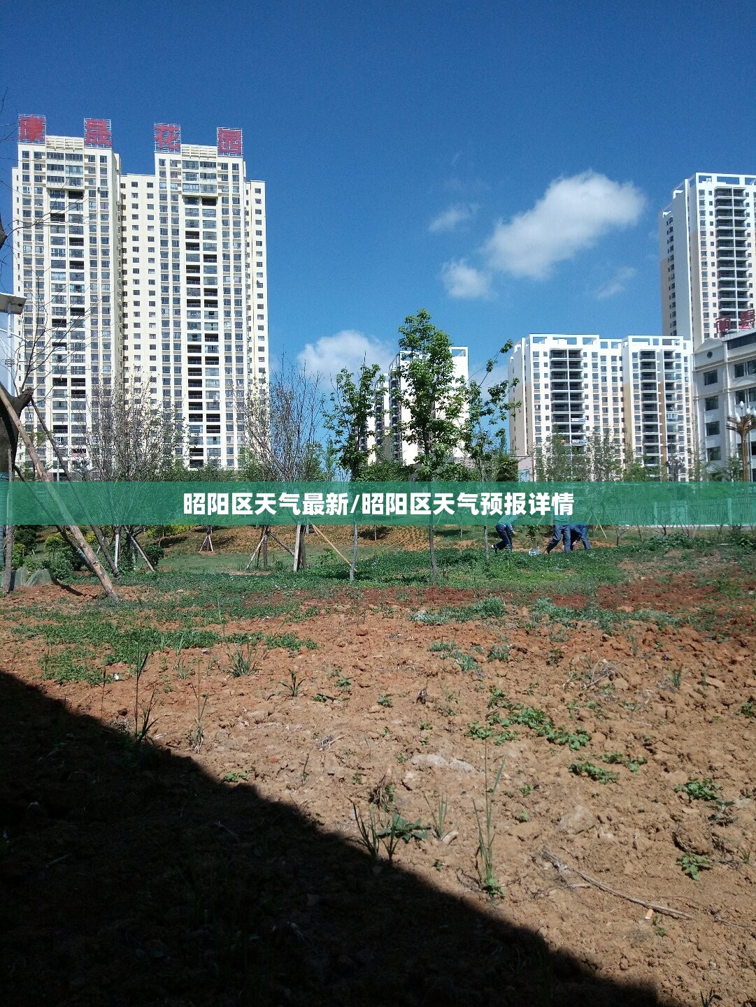 昭阳区天气最新/昭阳区天气预报详情