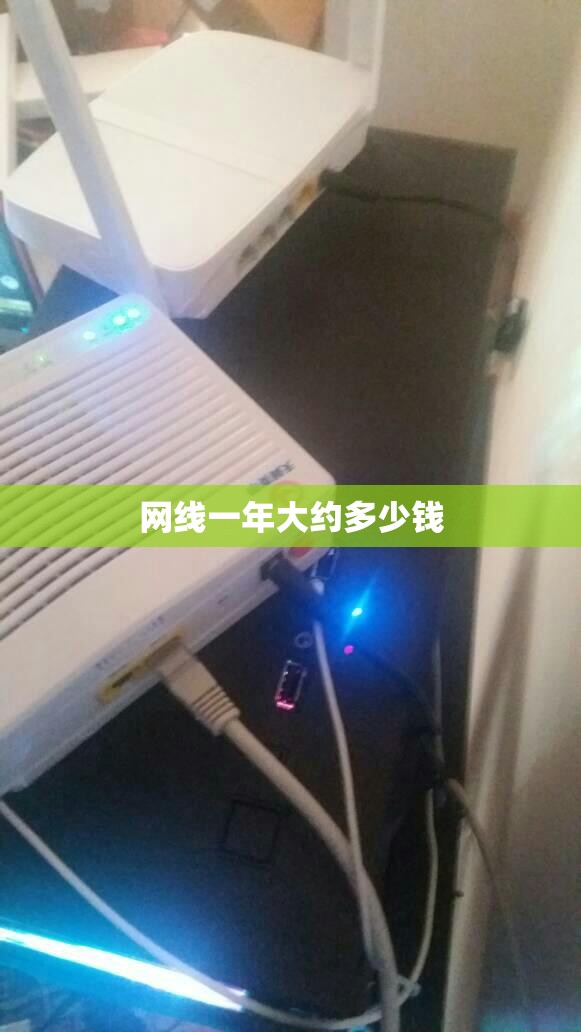 网线一年大约多少钱(家里安装wifi需要多少钱)