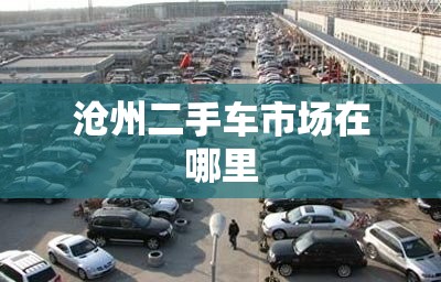 网线一年大约多少钱(家里安装wifi需要多少钱)