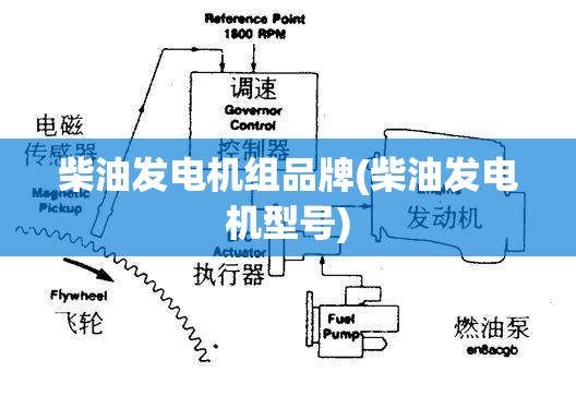 shorts是不可数名词吗