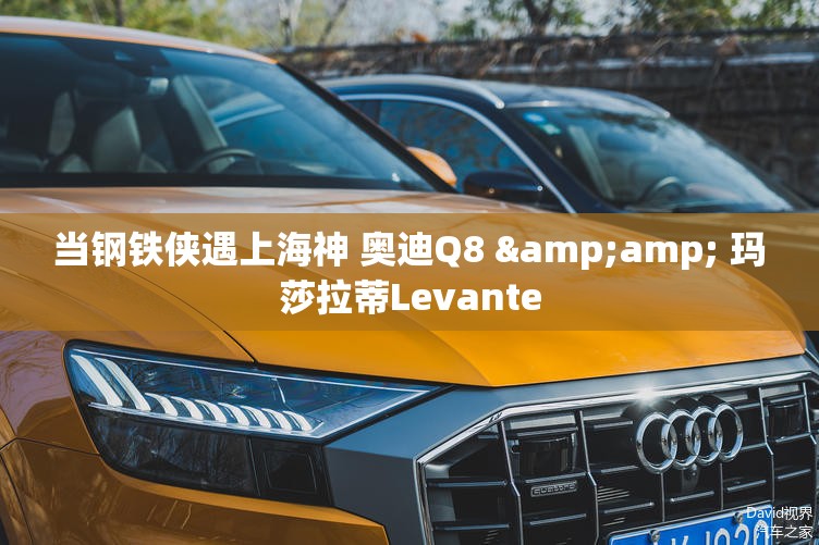 查看车辆违章信息/查看车辆违章信息app