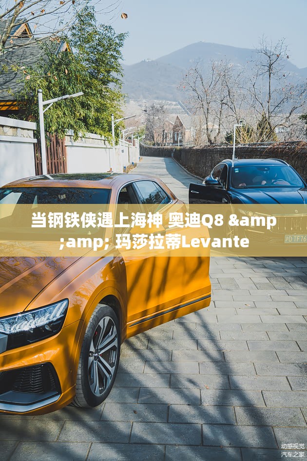 当钢铁侠遇上海神 奥迪Q8 &amp; 玛莎拉蒂Levante