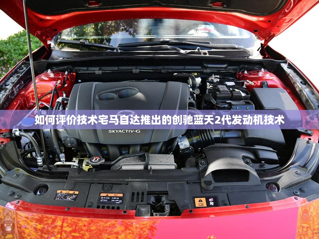 超强台风杜鹃(台风杜鹃实时路径)