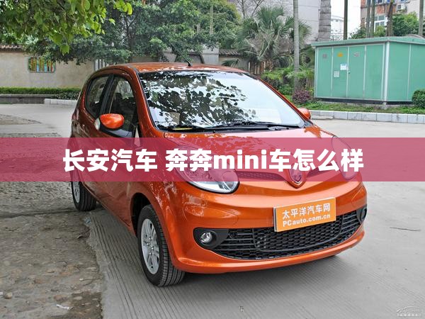 长安汽车 奔奔mini车怎么样