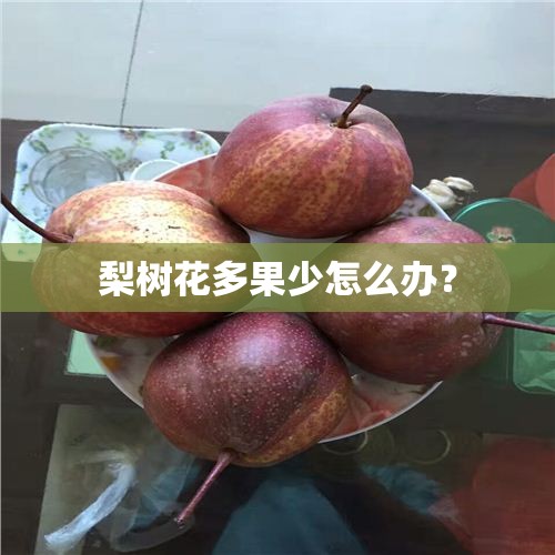 【比亚迪秦出租版,比亚迪秦出租版续航510怎么样】