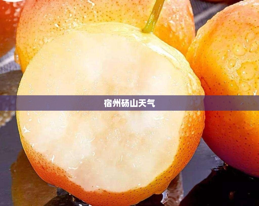【宿州砀山天气,宿州市砀山天气】