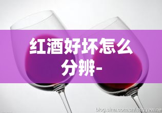 jeep衣服真伪查询入口/jeep衣服怎么分正品