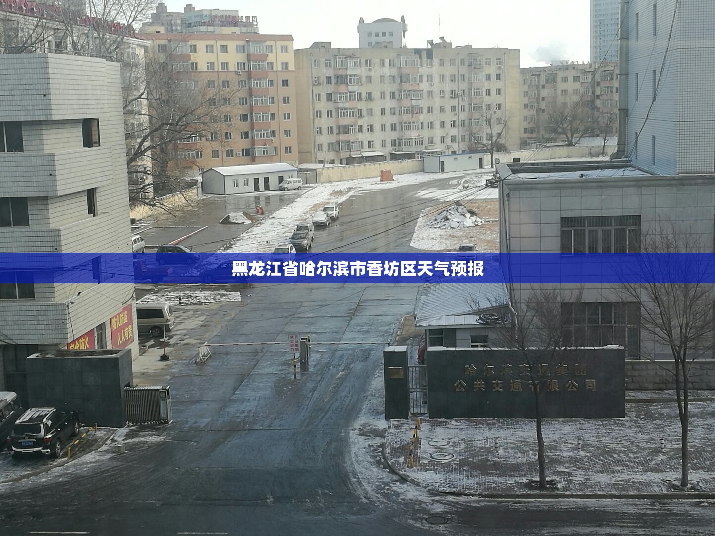 黑龙江省哈尔滨市香坊区天气预报/哈尔滨香坊天气预报小时 黑龙江省哈尔滨市香坊区天气预报/哈尔滨香坊天气预报小时