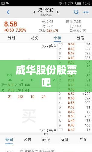 威华股份股票吧