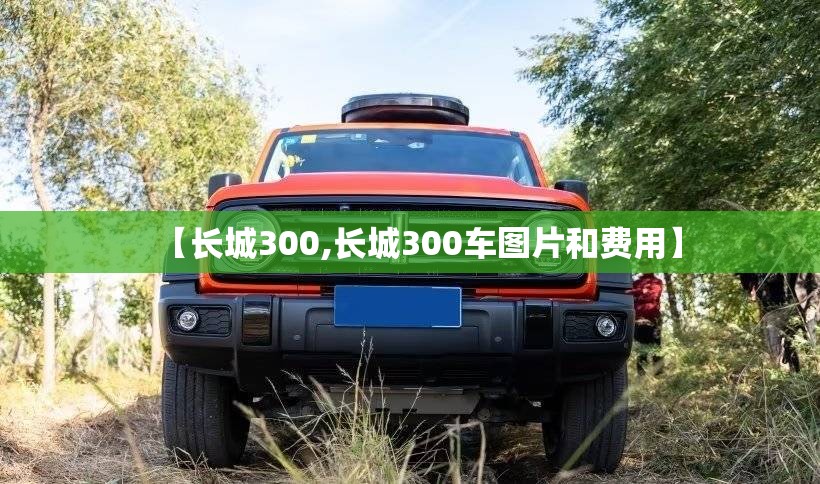 【长城300,长城300车图片和费用】 【长城300,长城300车图片和费用】