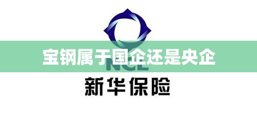 宝钢属于国企还是央企 宝钢属于国企还是央企