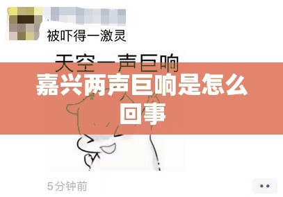 嘉兴两声巨响是怎么回事