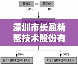 深圳市长盈精密技术股份有限公司的上市股票