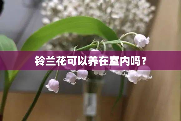 【广平天气预报一周7天,广平天气预报十五天】