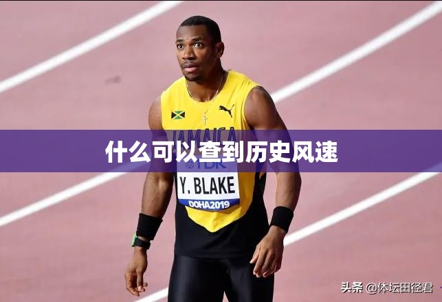 6米8货车油耗是多少