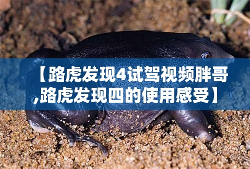 【长安马三图片,长安马自达cx3报价及图片】