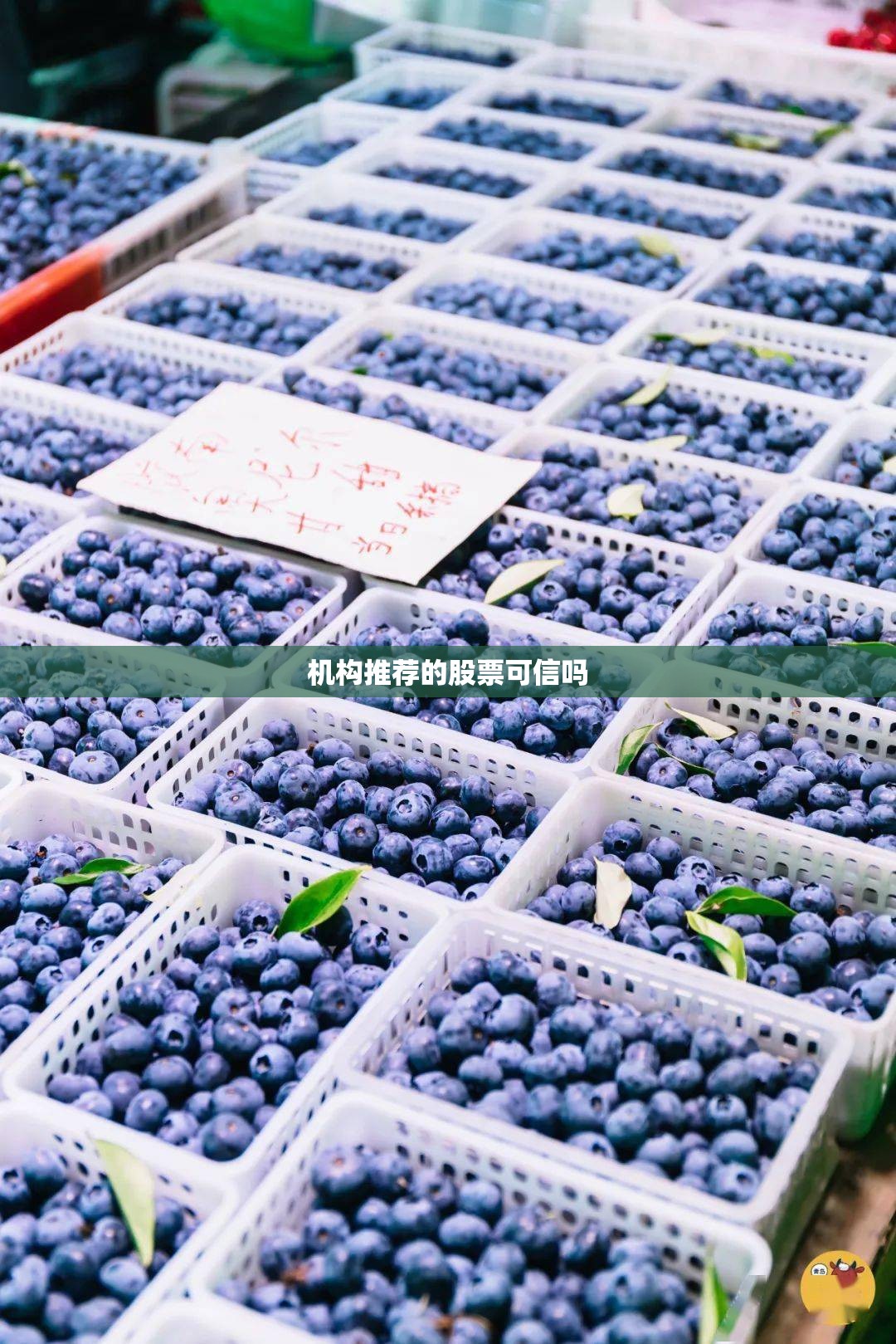 现在国内的工业除尘设备有哪些