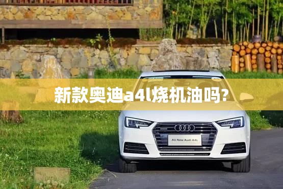 新款奥迪a4l烧机油吗?(新款奥迪a4l烧机油吗值得买吗)