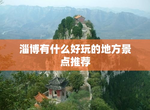 东奔西顾的小说(东奔西顾的小说君子有九思)