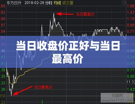 东奔西顾的小说(东奔西顾的小说君子有九思)