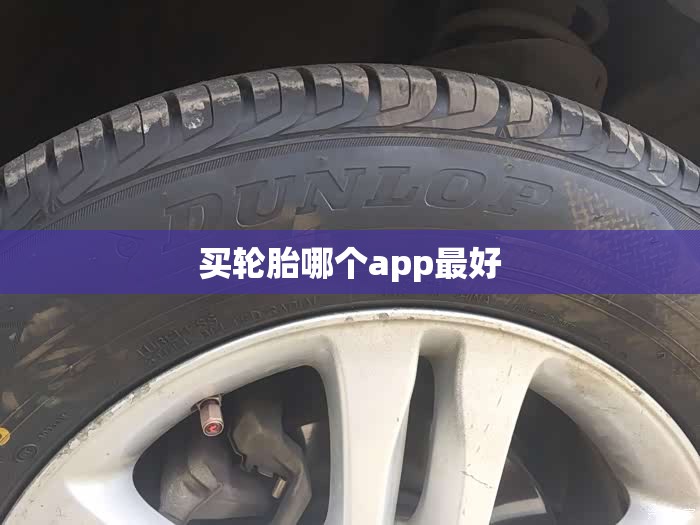 买轮胎哪个app最好 买轮胎哪个app最好