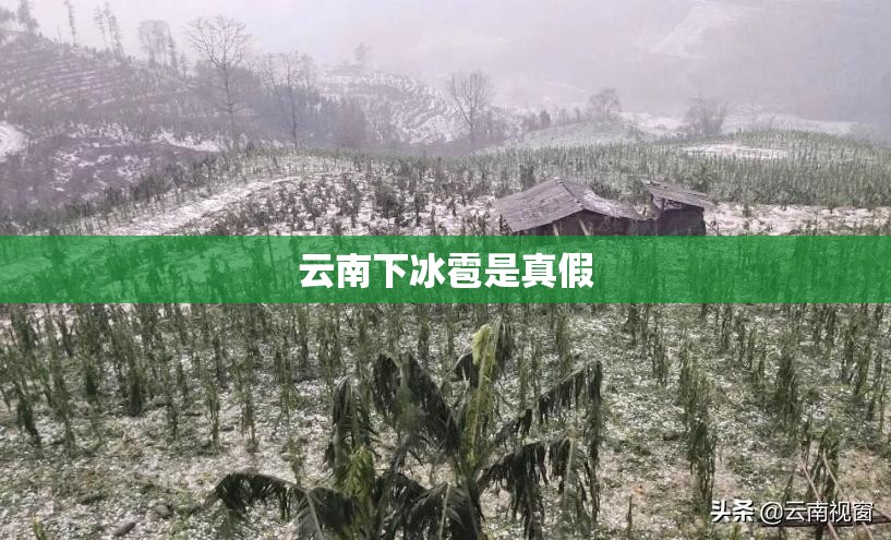 新蔡县(新蔡县属于哪个省哪个市)