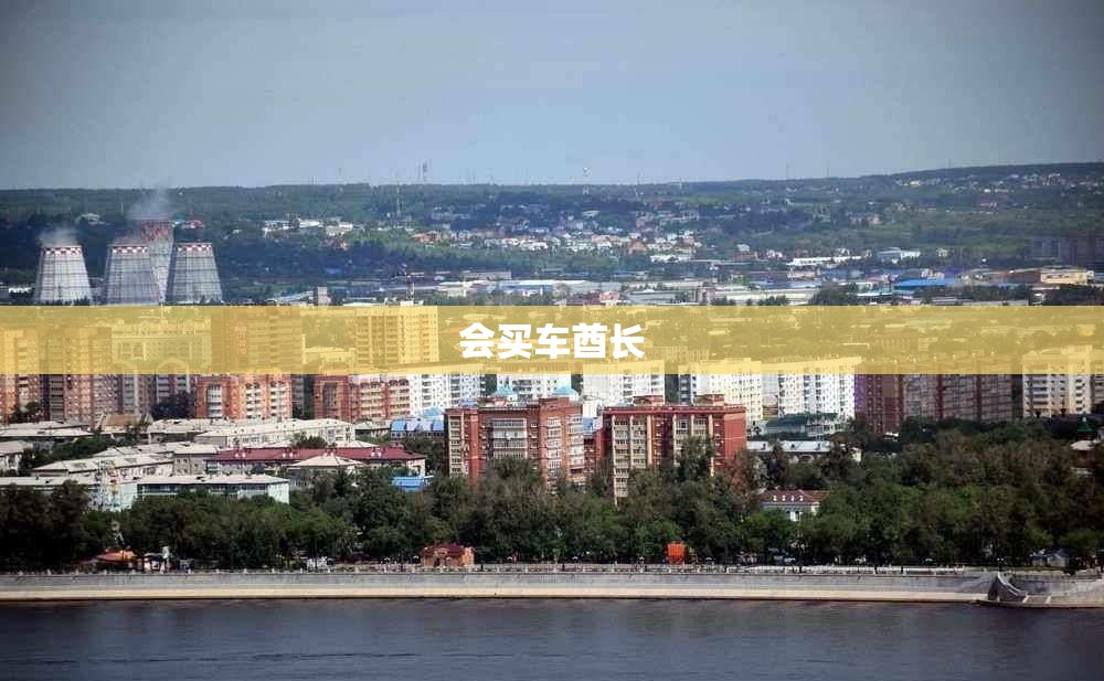 会买车酋长/会买车是个什么平台