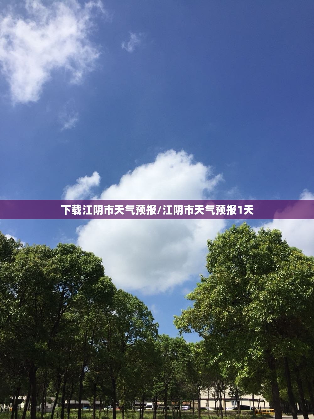 卓胜微股份股票行情/卓胜微 股吧