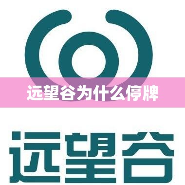 油价98号汽油 今天