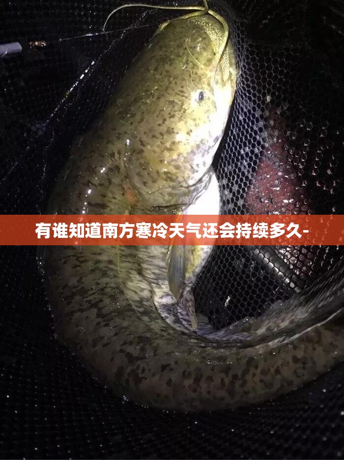 300778股票/300778股票股吧永元证劵