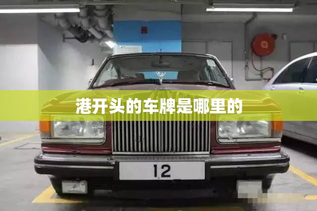 港开头的车牌是哪里的