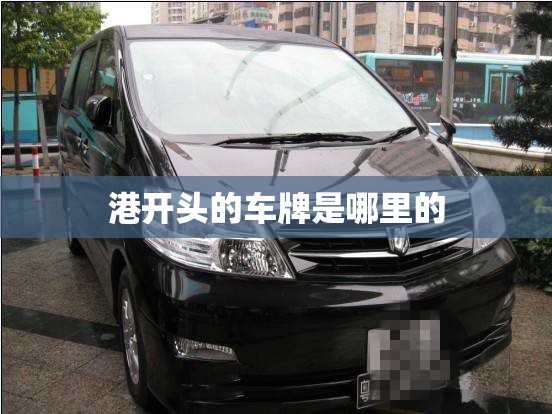 港开头的车牌是哪里的