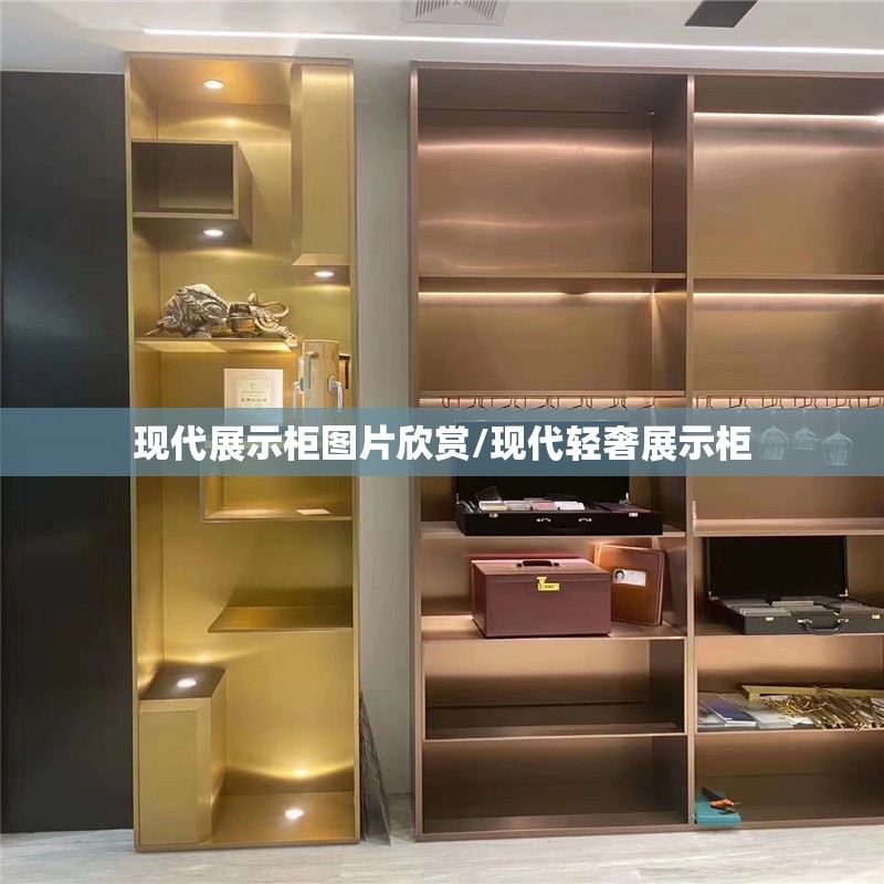 现代展示柜图片欣赏/现代轻奢展示柜 现代展示柜图片欣赏/现代轻奢展示柜