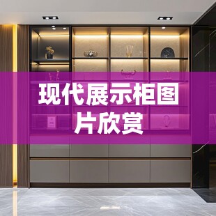 现代展示柜图片欣赏/现代轻奢展示柜 现代展示柜图片欣赏/现代轻奢展示柜