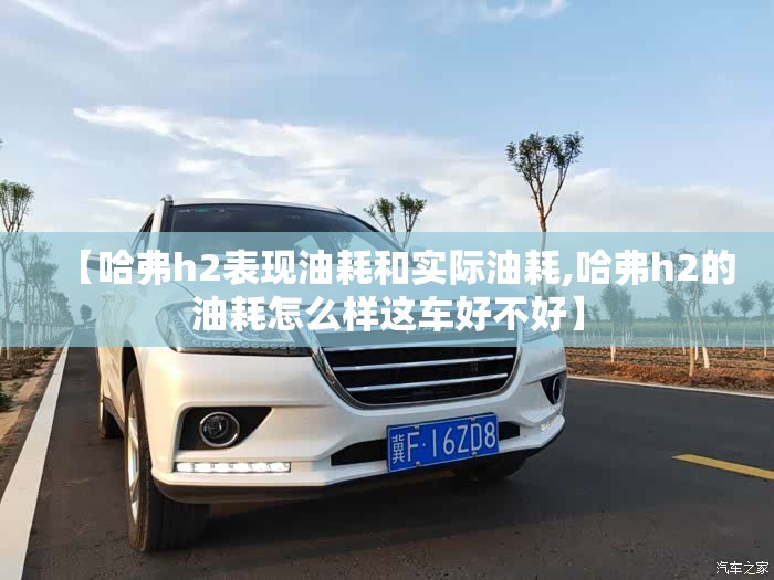 【哈弗h2表现油耗和实际油耗,哈弗h2的油耗怎么样这车好不好】